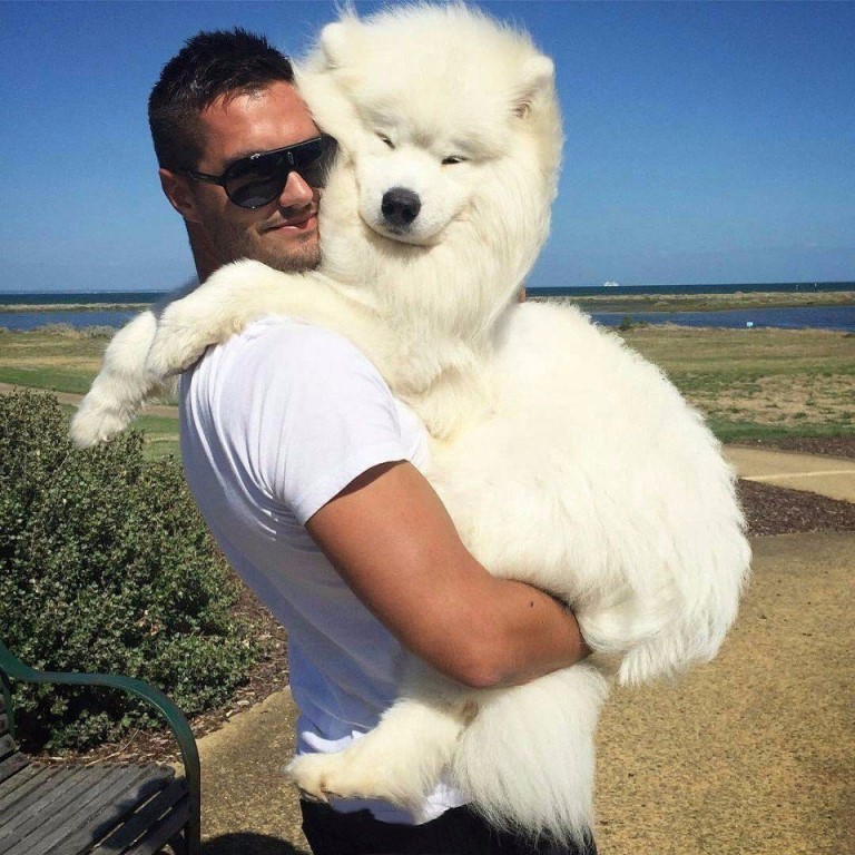 ���������