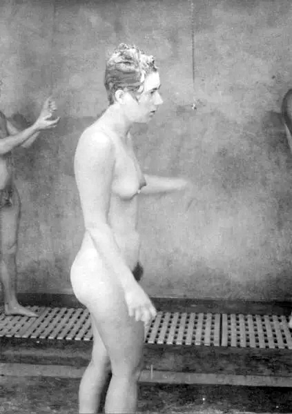 ���������