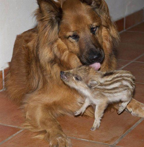 ���������