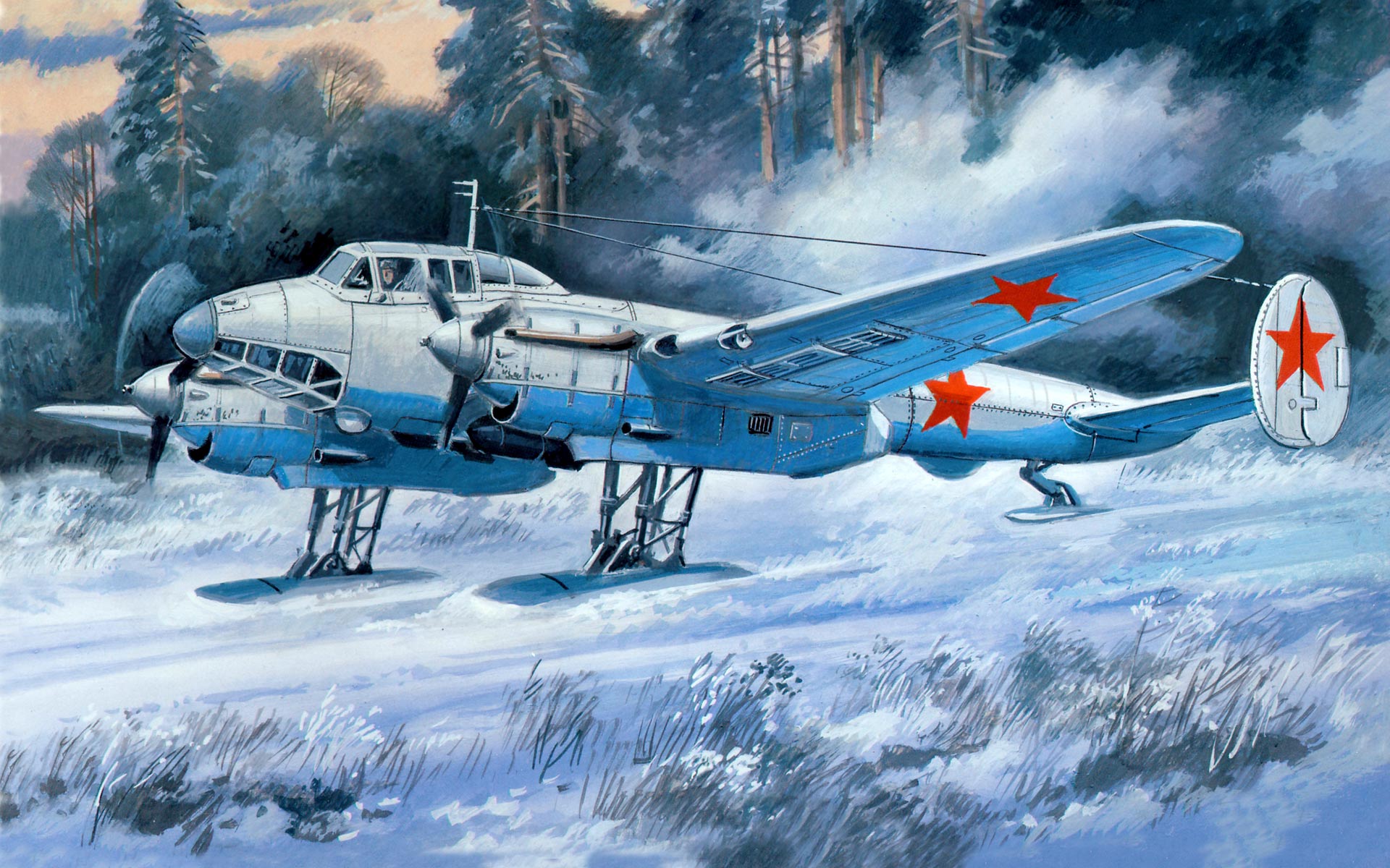 ���������