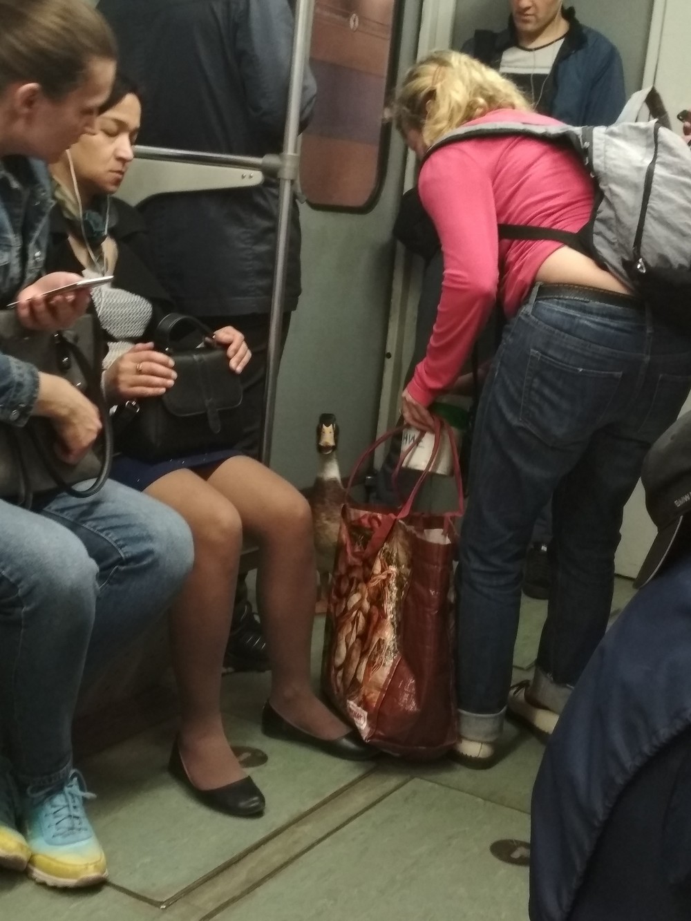 ���������