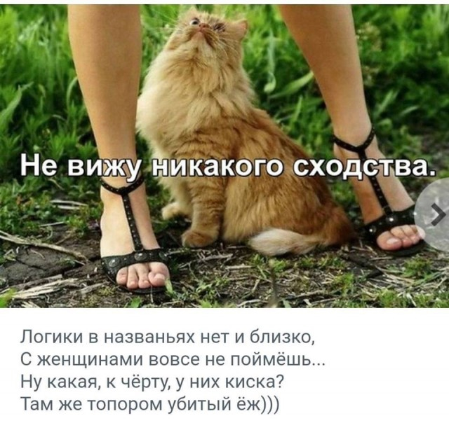��������, ����� ���������� � ������ ������
