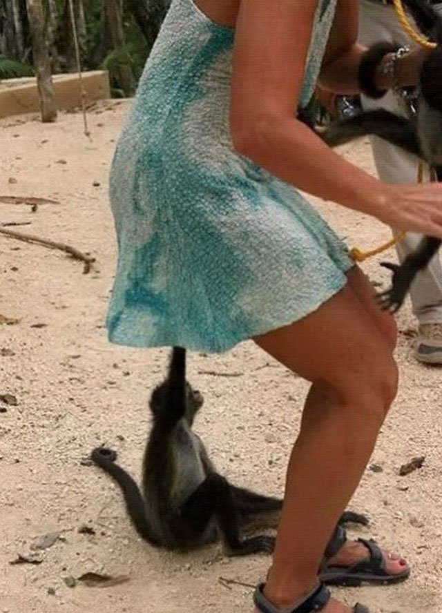 ���������