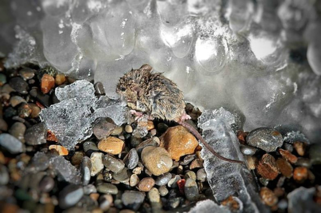 ���������