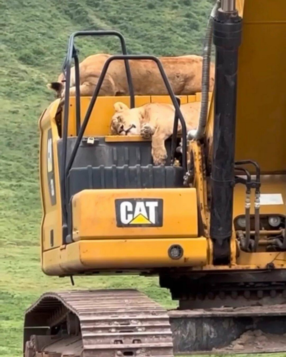 ��������, ����� ���������� � ������ ������