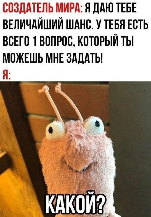 ��������, ����� ���������� � ������ ������