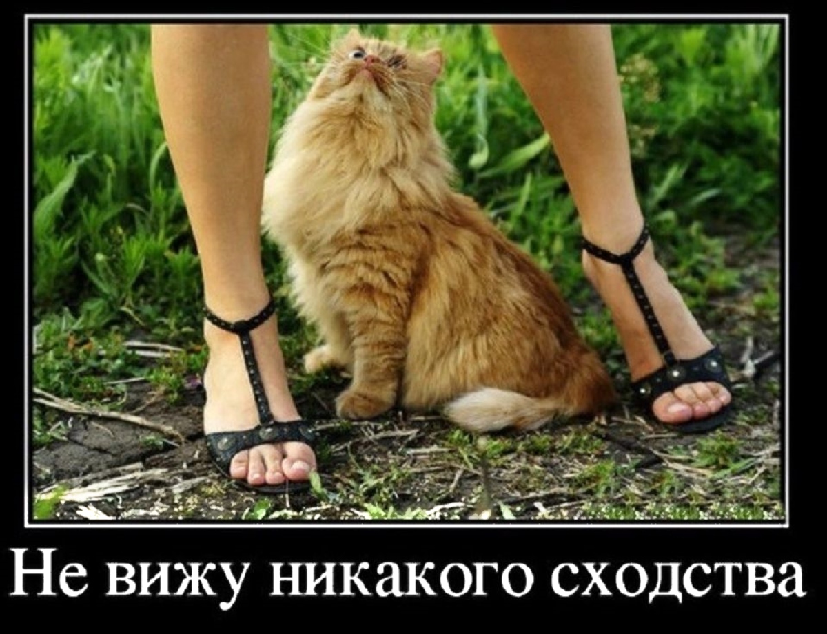 ��������, ����� ���������� � ������ ������