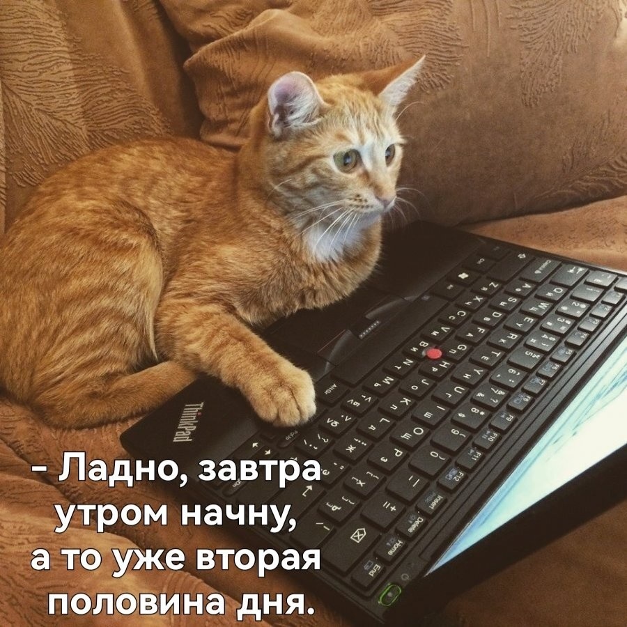 ��������, ����� ���������� � ������ ������