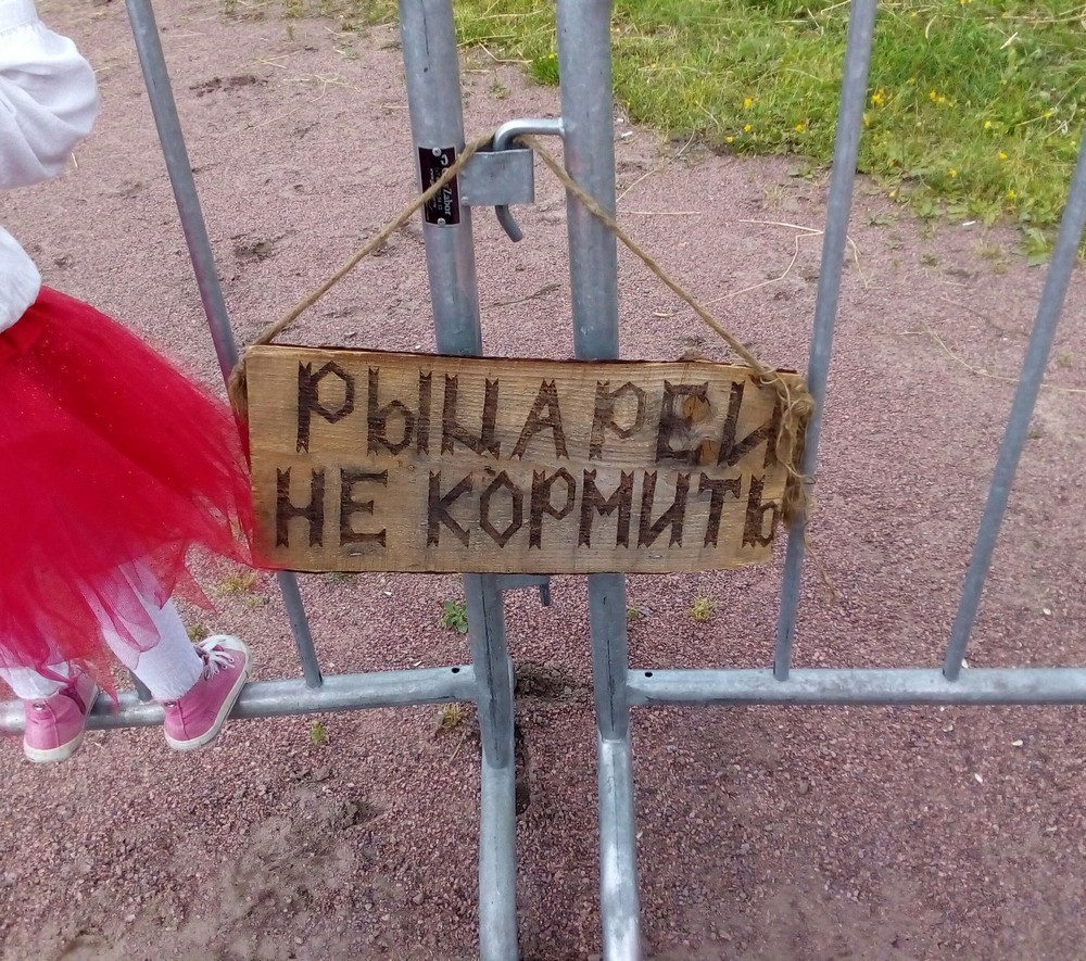 ����������