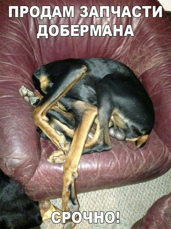 ��������, ����� ���������� � ������ ������