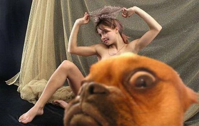 ����������