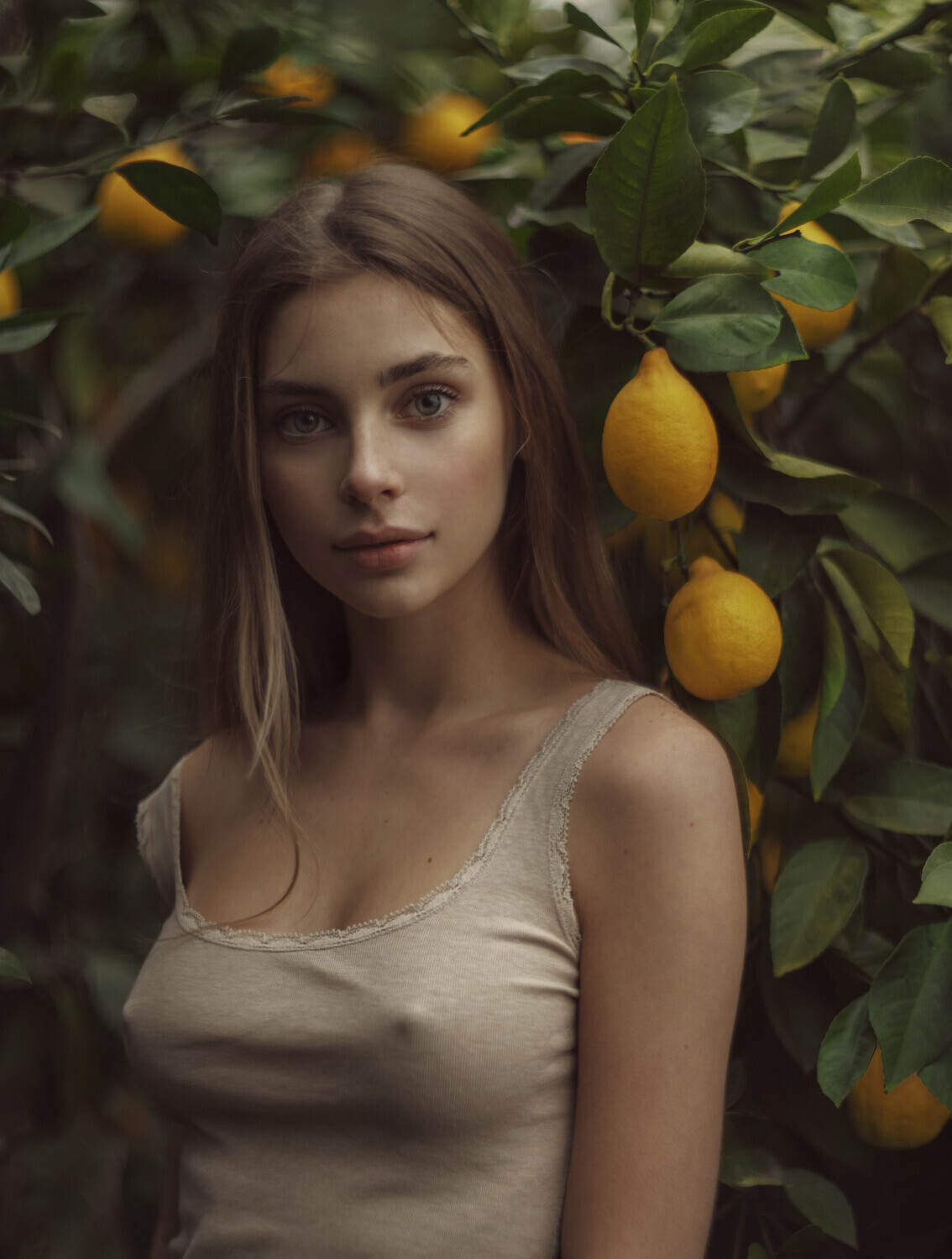 ����������