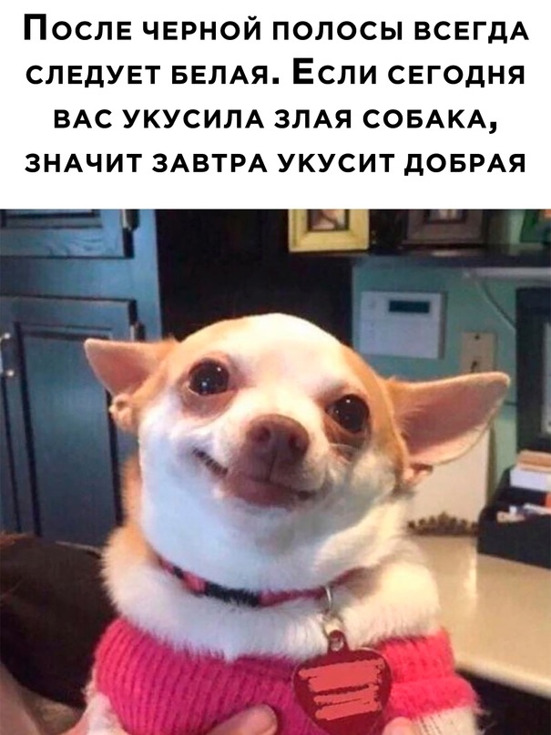 ��������, ����� ���������� � ������ ������