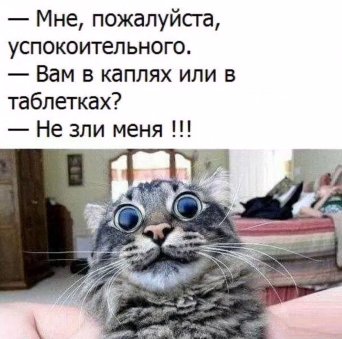 ��������, ����� ���������� � ������ ������
