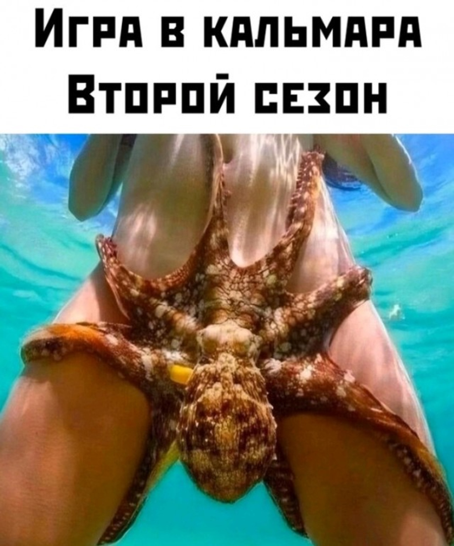 ��������, ����� ���������� � ������ ������