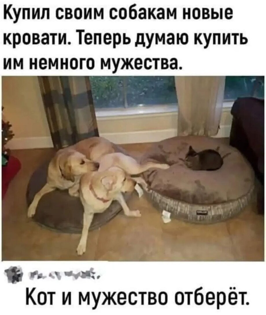 ��������, ����� ���������� � ������ ������
