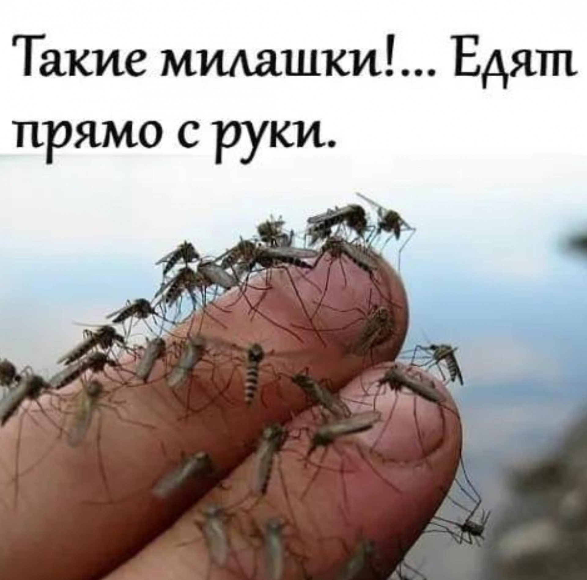 ��������, ����� ���������� � ������ ������