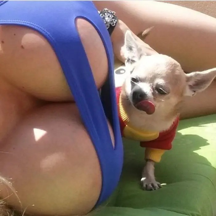 ��������, ����� ���������� � ������ ������