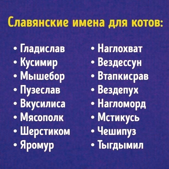 ��������, ����� ���������� � ������ ������