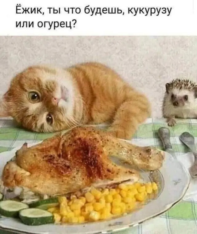 ��������, ����� ���������� � ������ ������