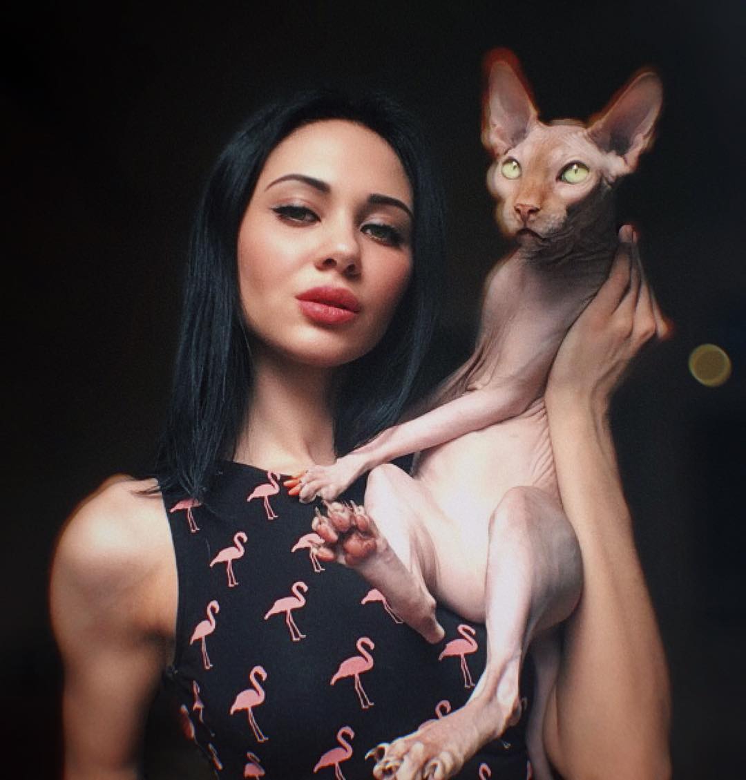 ����������