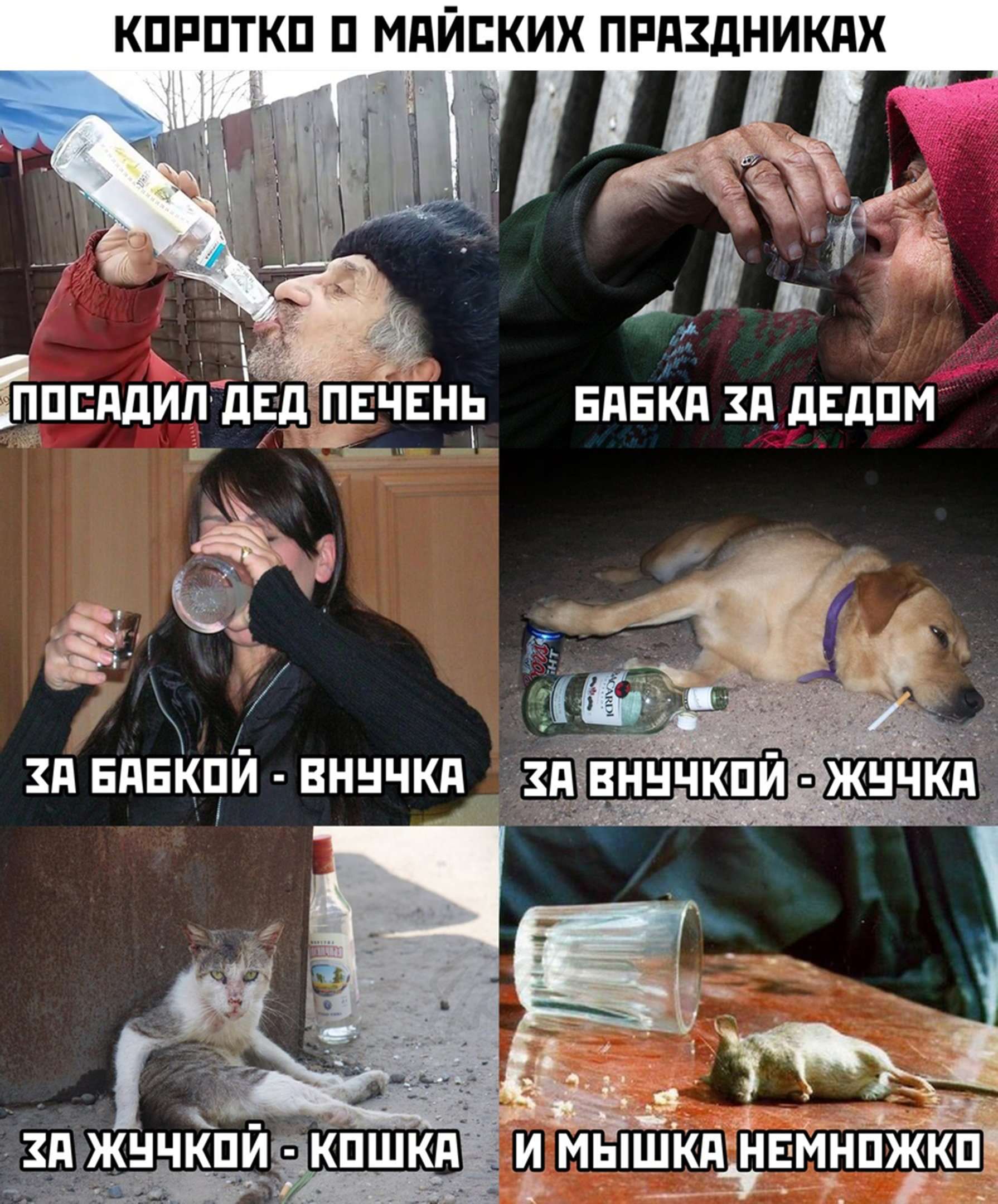 ��������, ����� ���������� � ������ ������