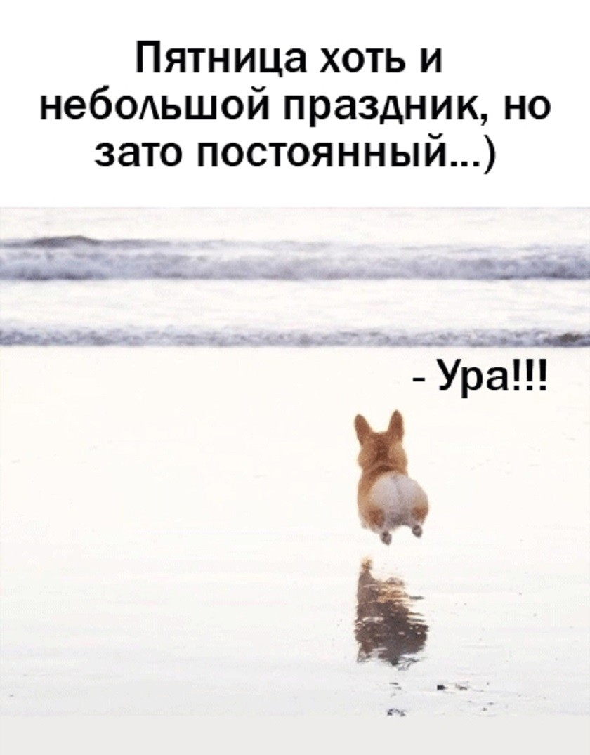��������, ����� ���������� � ������ ������