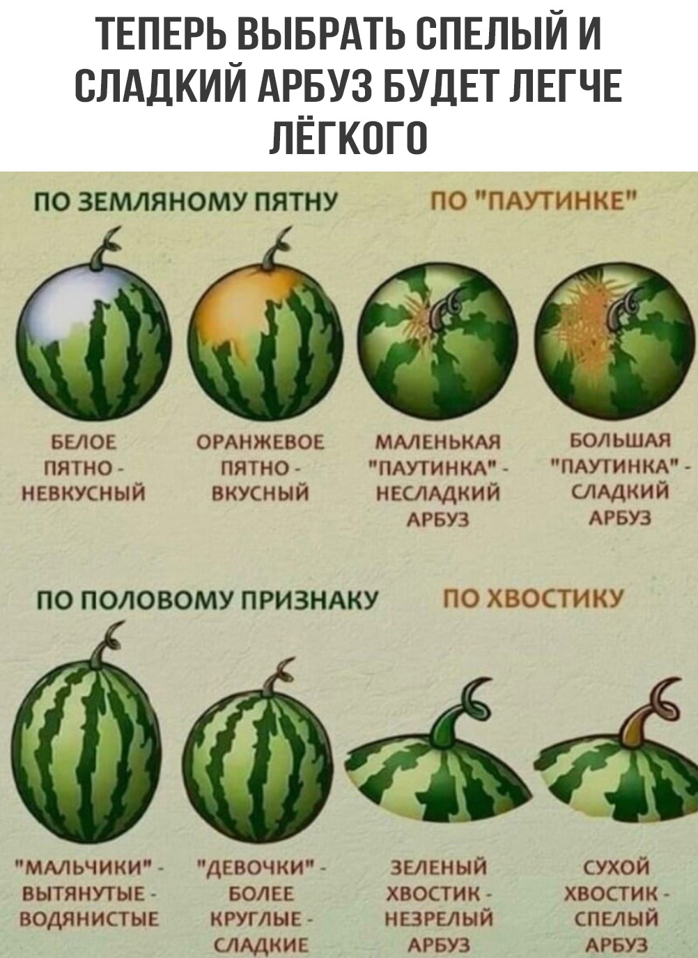 ��������, ����� ���������� � ������ ������