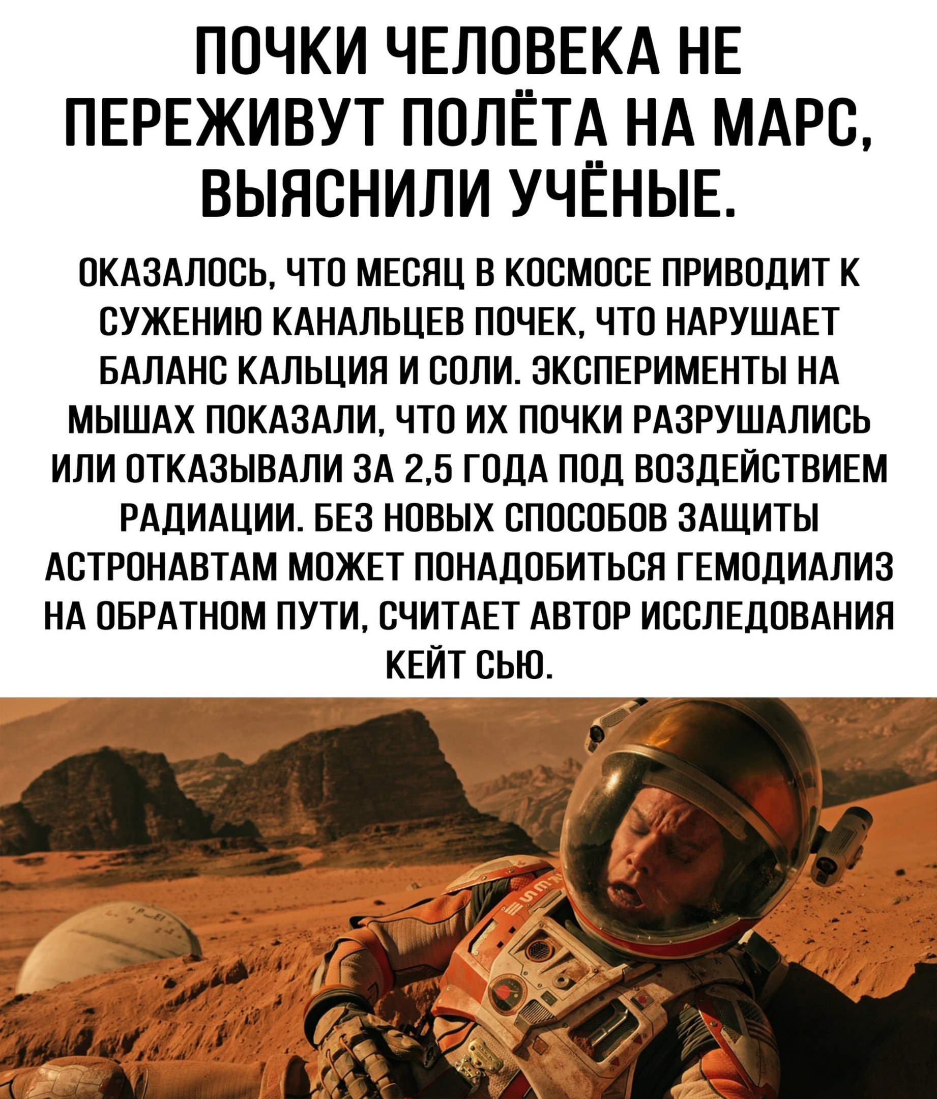 ��������, ����� ���������� � ������ ������