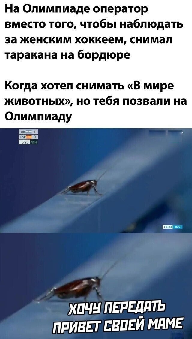 ��������, ����� ���������� � ������ ������