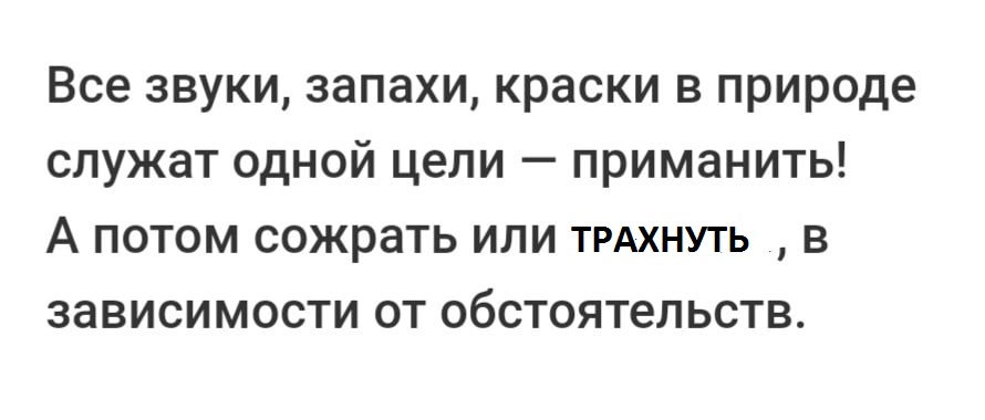 ��������, ����� ���������� � ������ ������