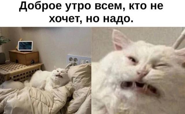 ��������, ����� ���������� � ������ ������