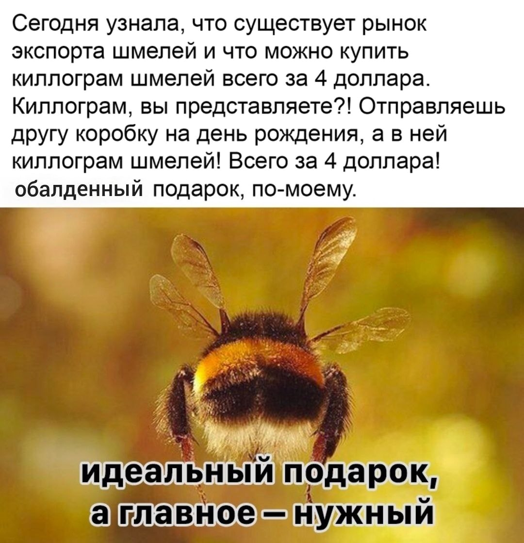 ��������, ����� ���������� � ������ ������