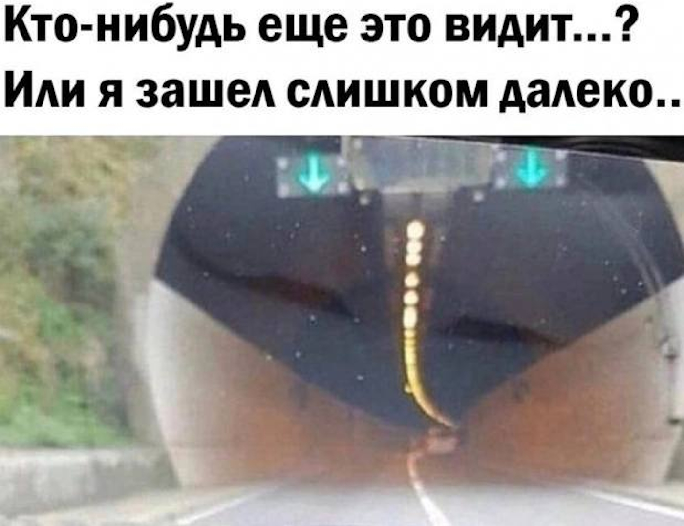 ��������, ����� ���������� � ������ ������