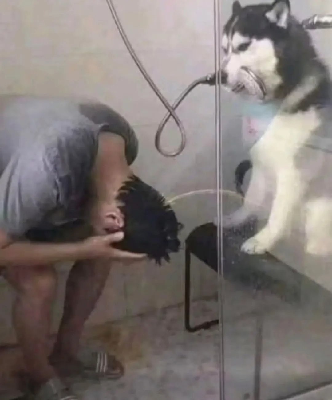 ��������, ����� ���������� � ������ ������