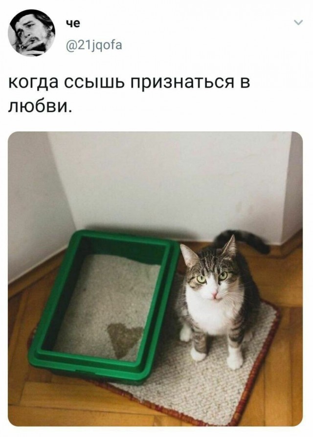 ��������, ����� ���������� � ������ ������