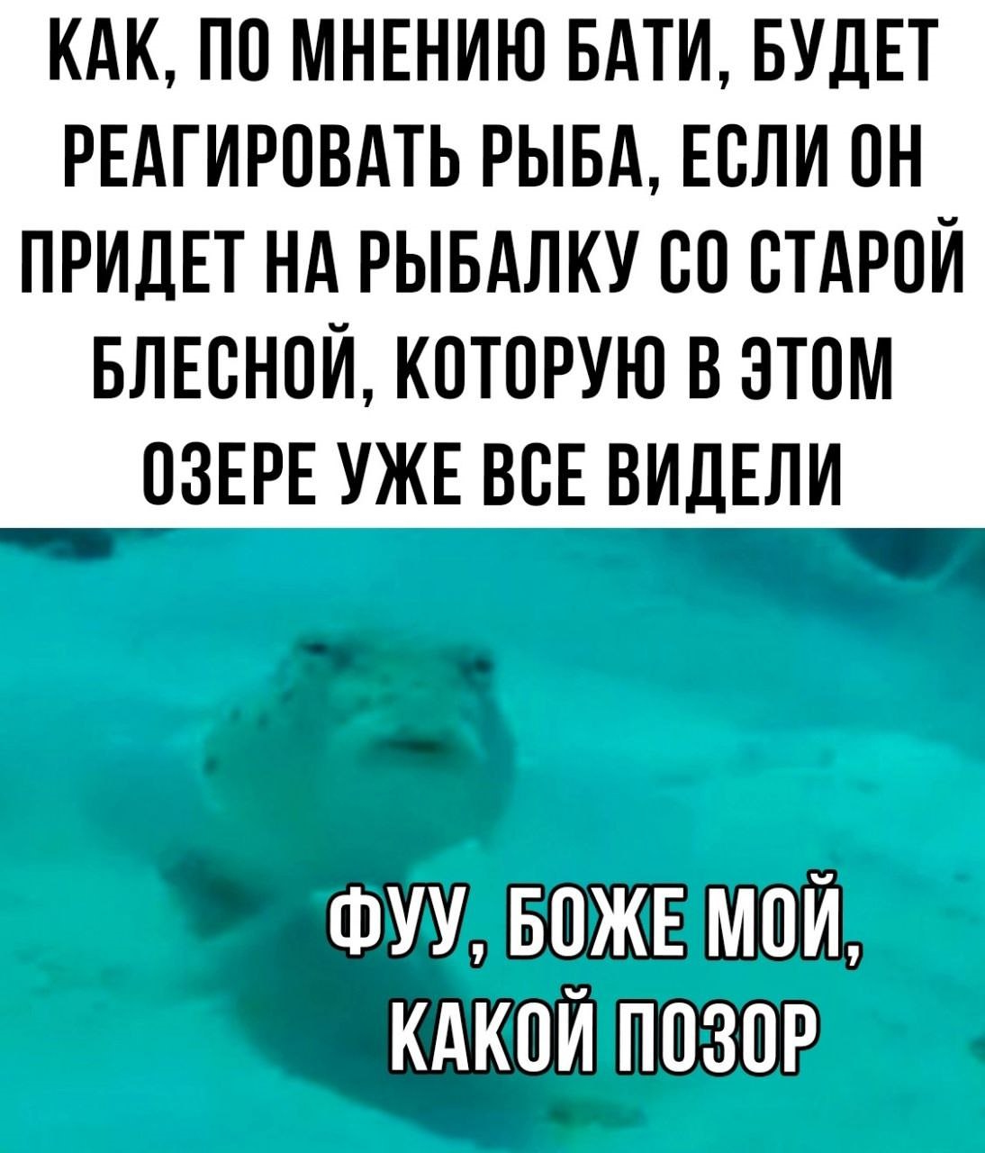 ��������, ����� ���������� � ������ ������