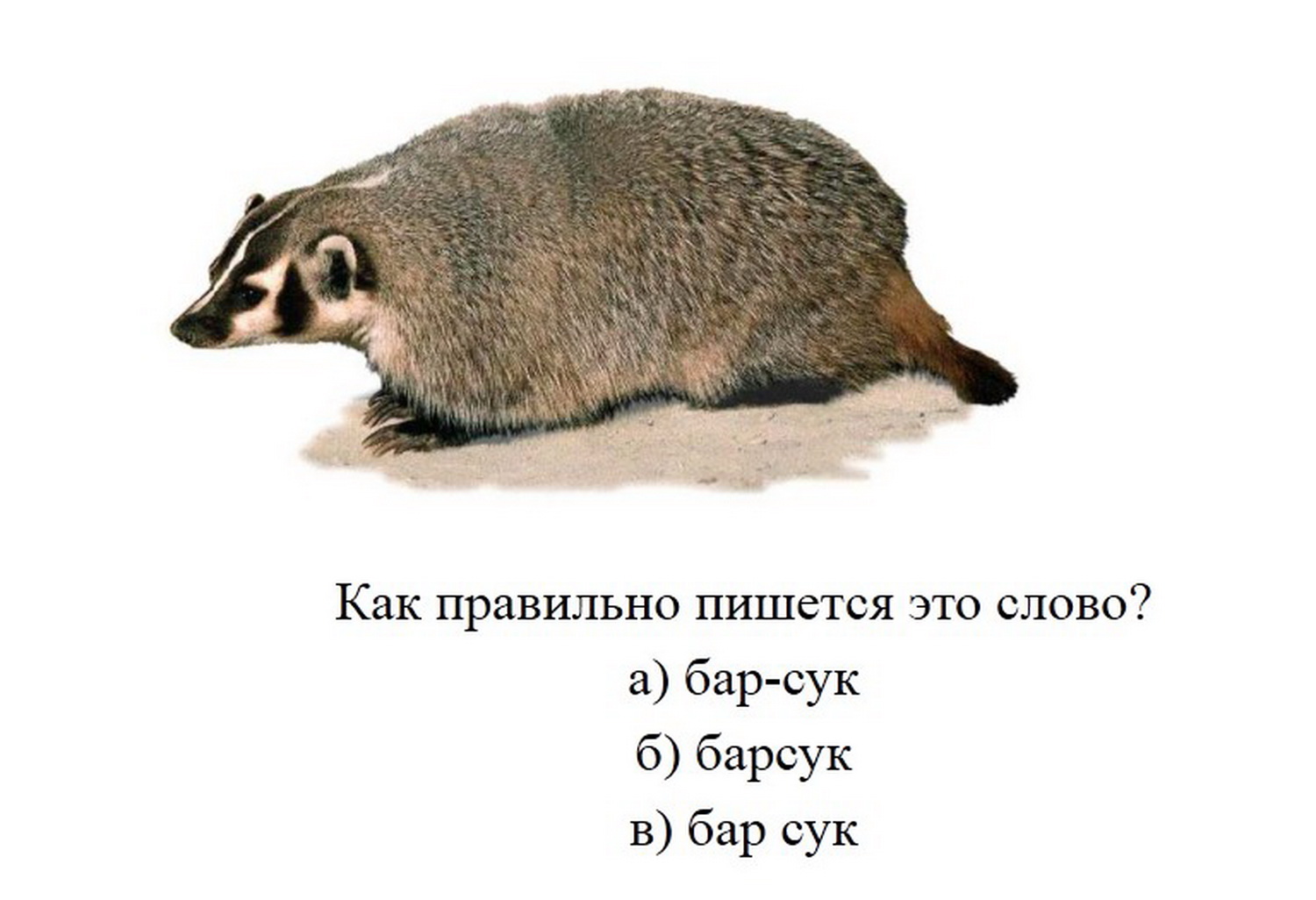 ����������