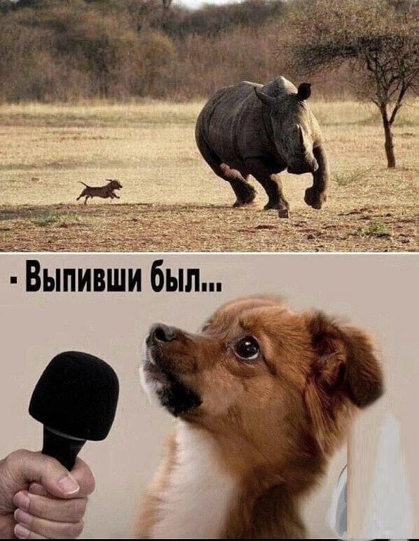 ��������, ����� ���������� � ������ ������