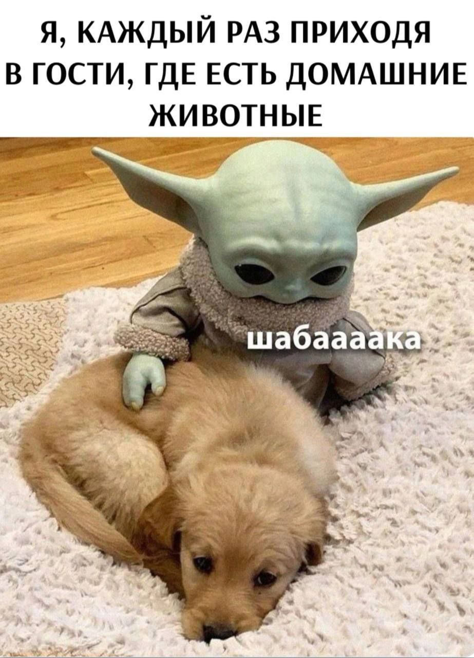 ��������, ����� ���������� � ������ ������